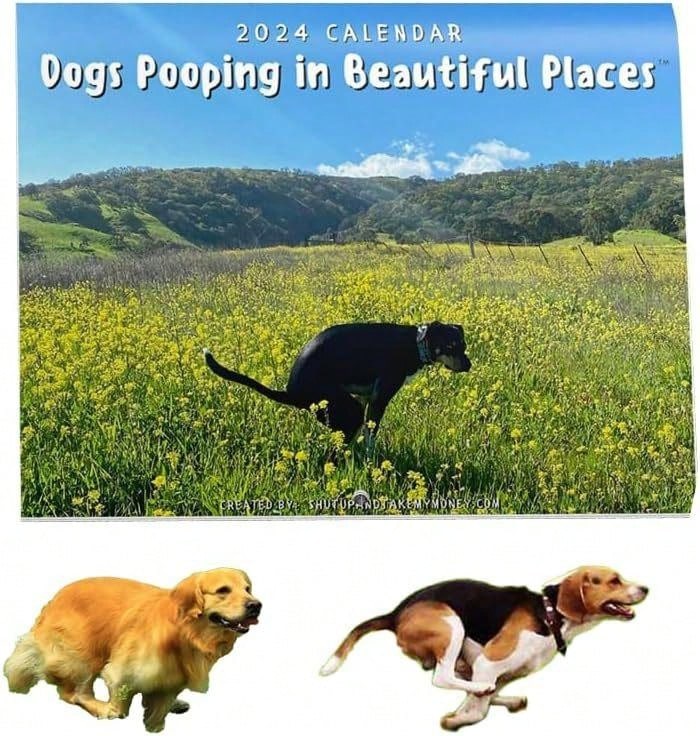 2024-calendar-dogs-pooping-calendar-2024-wall-calendar-funny-calendar
