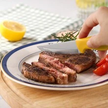 6 件/套多色牛排刀,不鏽鋼鋒利鋸齒西式刀,餐廳、飯店、露營餐具,附塑膠手,鋸齒麵包刀和切片刀