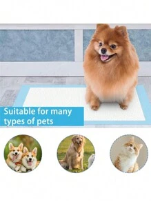 100 Pañales Tapete Entrenador Para Perro Almohadillas 45x33 - Azul y blanco - Ver 2