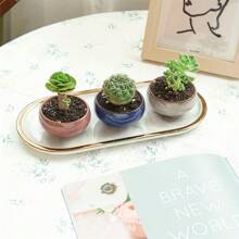 1個陶瓷多肉盆栽,小巧型設計帶排水孔,冰花釉陶瓷手工植物容器,家庭辦公室裝飾