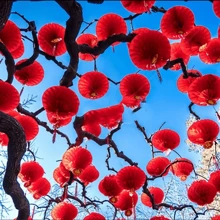 50Pcs red traditional Chinese lanterns - Red - View 3