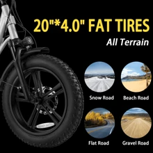 VELOWAVE Prado S Electric Bike for Adults 750W BAFANG Motor,48V 15Ah LG Battery E Bike, 20" x 4.0 Step-Thru Fat Tire Ebikes for Adults, 28MPH Electric Bicycle Shimano 7-Speed - 銀色 - 查看 5