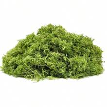 100g/3.5oz綠色保鮮苔蘚,乾燥苔蘚為盆栽植物及工藝裝飾之用 - 薄荷綠 - 查看 1