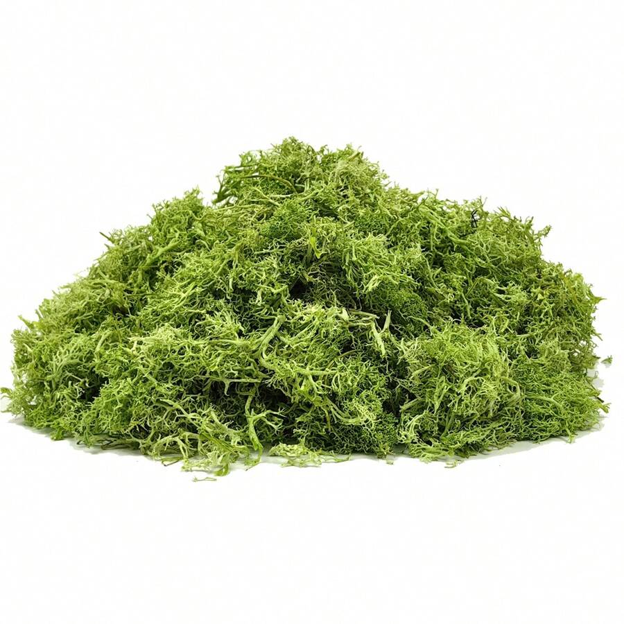 100g/3.5oz綠色保鮮苔蘚,乾燥苔蘚為盆栽植物及工藝裝飾之用 - 薄荷綠 - 查看 1