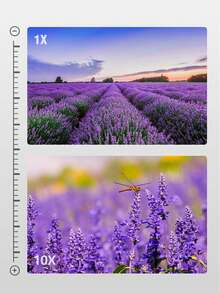 90x90 Binoculars, HD Professional Outdoor Travel Binoculars, Powerful Hunting Binoculars, Hiking & Birdwatching - Black - View 9