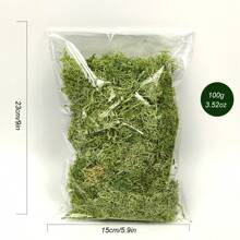 100g/3.5oz綠色保鮮苔蘚,乾燥苔蘚為盆栽植物及工藝裝飾之用 - 薄荷綠 - 查看 2