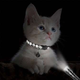 2入組黑色反光防丟失寵物項圈,適用於小型和中型狗和貓