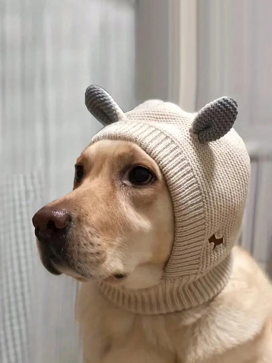 PETSIN 1 件纯色兔耳形保暖防风宠物帽子头套适合大型犬日常使用 - 米色 - 查看 1