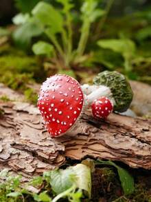 1個紅色蘑菇形態的樹脂工藝模型,適用於苔蘚微景觀裝飾diy,農村風格多肉花盆飾品 - 彩色 - 查看 6