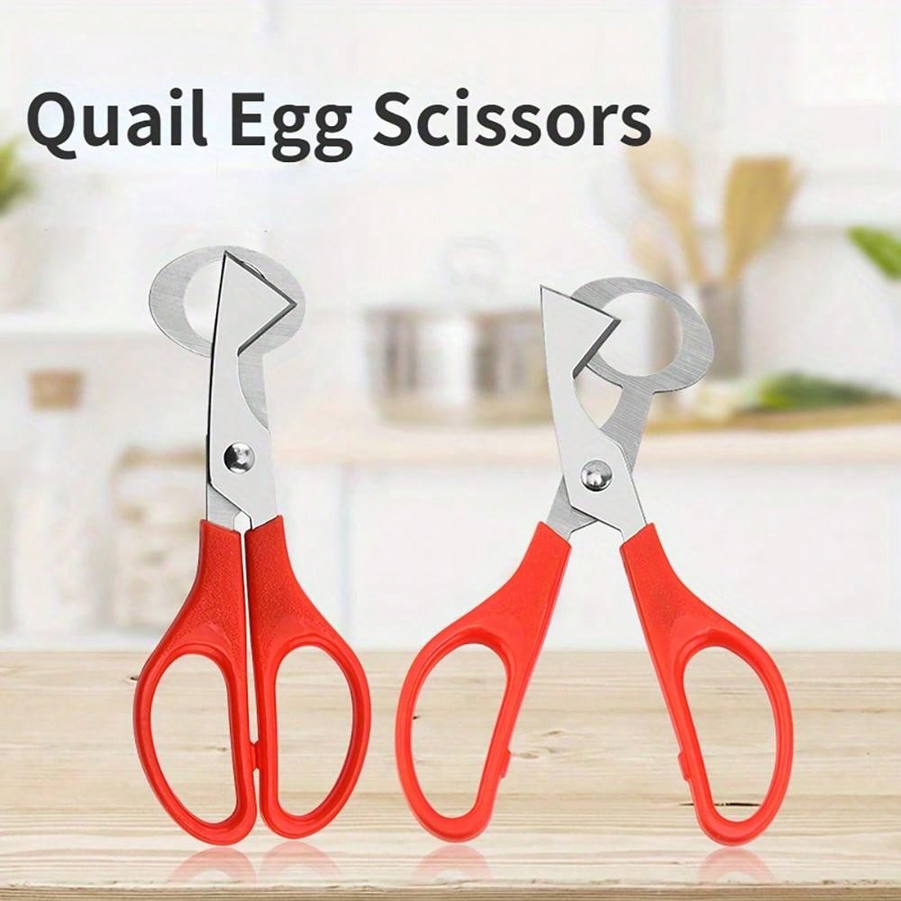 Egg Cutter Scissors For Quail Eggs & Bird Eggs, Stainless Steel Kitchen Scissors Opening Device