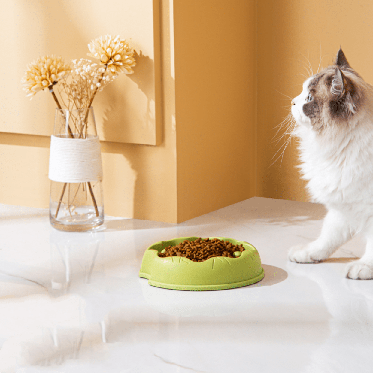 Pet Slow Feeding Bowl For Dogs And Cats, Antislipping And Tipping Over