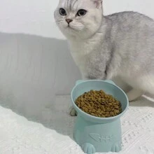 1 pieza Bol para mascotas con diseño de dibujos animados - Azul - Ver 2