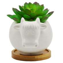 1 件可愛動物牛形陶瓷多肉仙人掌花盆,4.5 英寸,無竹托盤 - 白色 - 查看 3