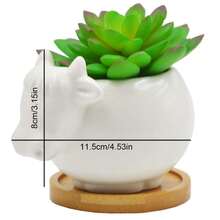 1 件可愛動物牛形陶瓷多肉仙人掌花盆,4.5 英寸,無竹托盤 - 白色 - 查看 2