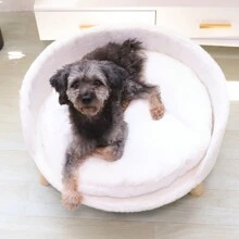 Pet Bed & Crate Mat - Màu be - Xem 5