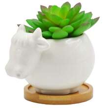 1 件可愛動物牛形陶瓷多肉仙人掌花盆,4.5 英寸,無竹托盤 - 白色 - 查看 4