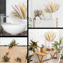 100入組自然乾燥芦葦草,17英寸高,白色和棕色芦葦草,蘆葦,兔尾花卉,完美的波西米亞家居裝飾,婚禮派對和居家裝飾