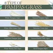 100入組自然乾燥芦葦草,17英寸高,白色和棕色芦葦草,蘆葦,兔尾花卉,完美的波西米亞家居裝飾,婚禮派對和居家裝飾