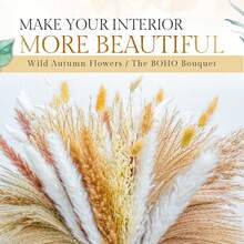 100入組自然乾燥芦葦草,17英寸高,白色和棕色芦葦草,蘆葦,兔尾花卉,完美的波西米亞家居裝飾,婚禮派對和居家裝飾