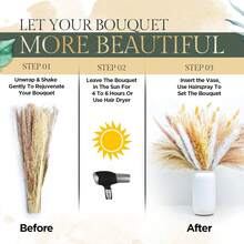 100入組自然乾燥芦葦草,17英寸高,白色和棕色芦葦草,蘆葦,兔尾花卉,完美的波西米亞家居裝飾,婚禮派對和居家裝飾