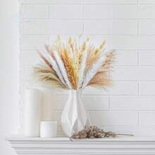 100入組自然乾燥芦葦草,17英寸高,白色和棕色芦葦草,蘆葦,兔尾花卉,完美的波西米亞家居裝飾,婚禮派對和居家裝飾