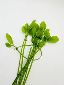 20 件人造綠葉紮帶、尼龍葉紮帶、園藝工具