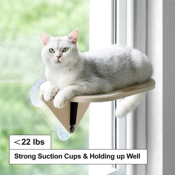 MewooFun Cat Window Perch Hammock with Climbing Steps and Scratching
