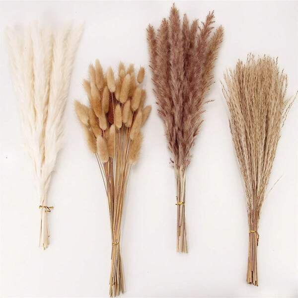Dried Pampas Grass Decoration, 100 Stems With Bunny Tails And Reeds Bouquet For Wedding Bohemian Floral Home Table Decor, Country Farmhouse Party (White And Brown),Fall Decor,Autumn