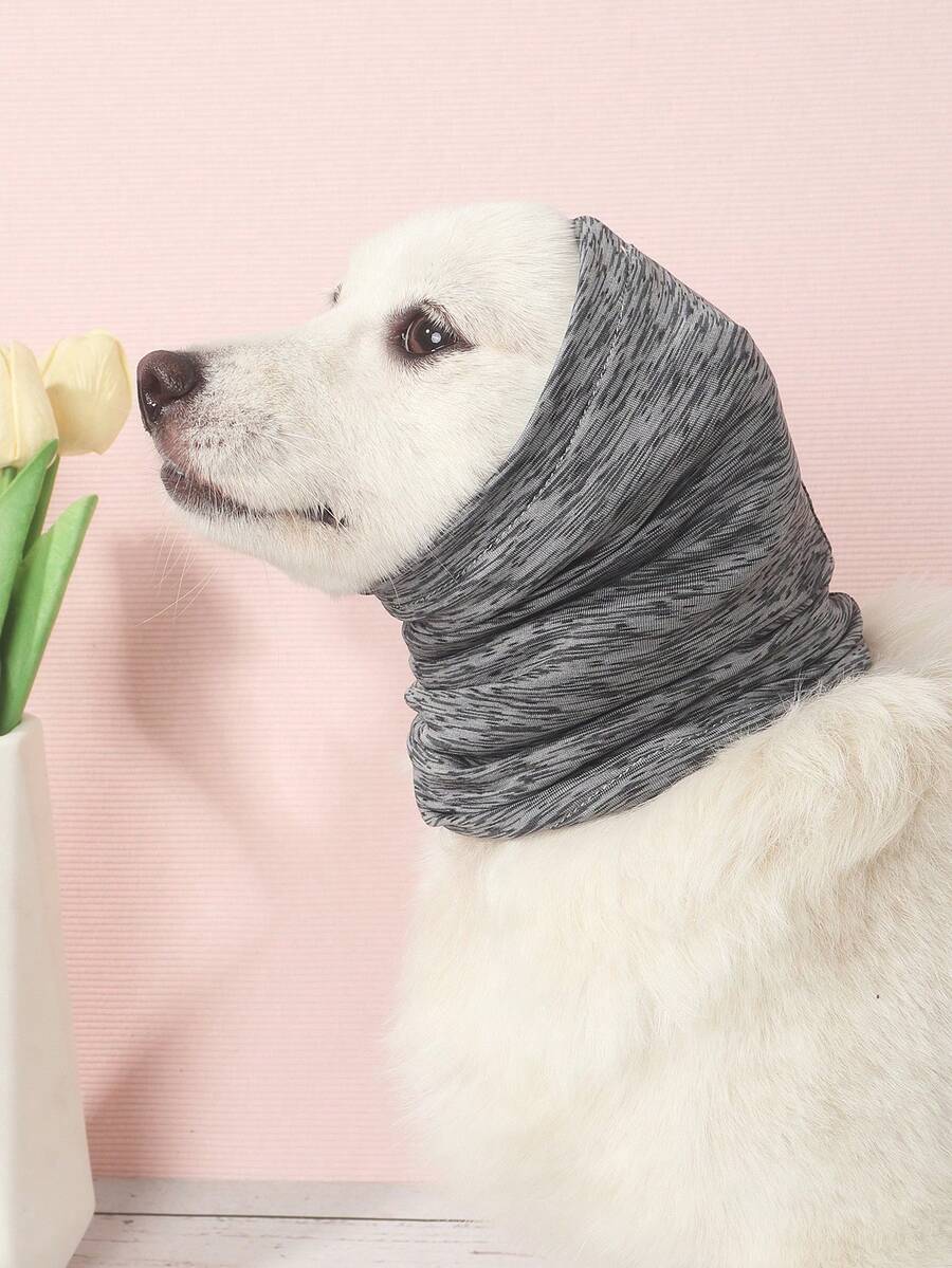 1条轻便透气涤纶条纹弹力头带，带护耳设计，适用于猫狗 - 灰色 - 查看 1