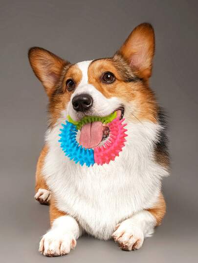 1peça Brinquedo para mastigar para animal bloco de cores desenho de círculo para cão para ranger de dentes