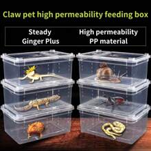Pet Reptile Insect Turtle Tank