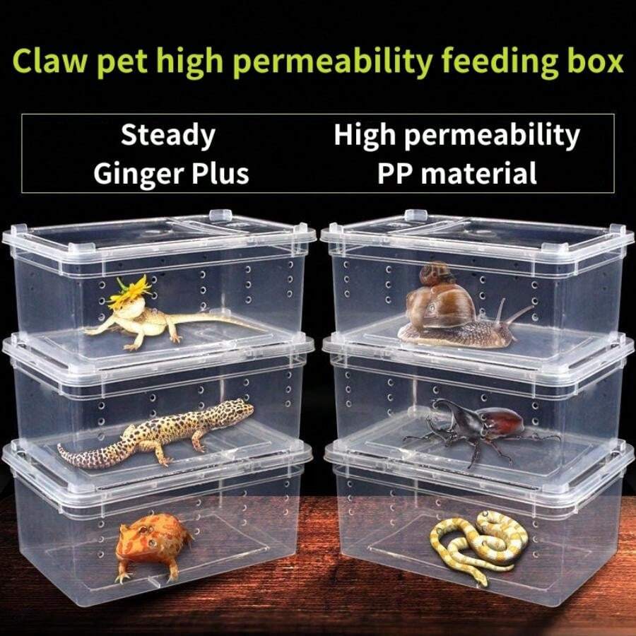 Pet Reptile Insect Turtle Tank