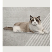 簡約優雅風格長方形裝飾地毯,適用於客廳沙發、門口、臥室床旁、書桌、戶外露營 - 黑色 - 查看 9