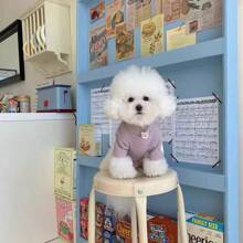 1 件新款薄款运动衫，适合小型犬和猫、贵宾犬、约克夏犬、比熊犬、雪纳瑞犬 - 紫色 - 查看 1
