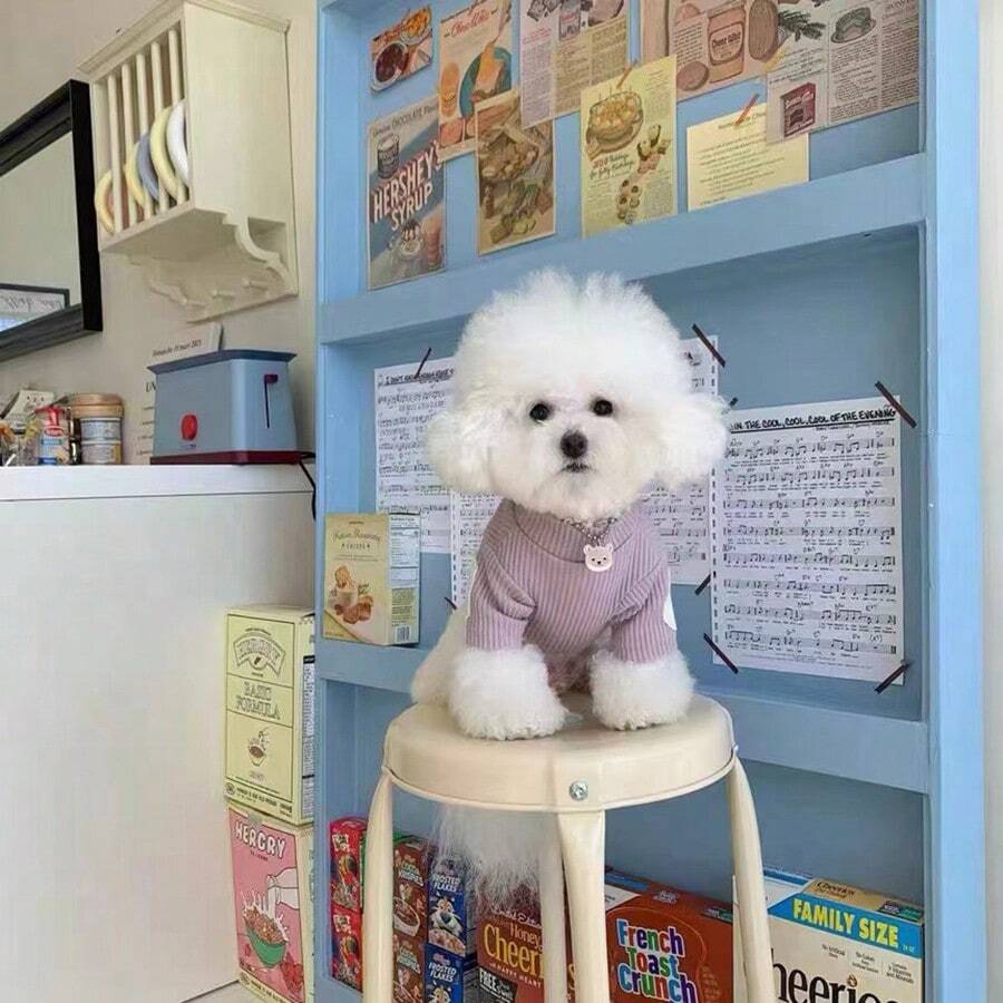 1 件新款薄款运动衫，适合小型犬和猫、贵宾犬、约克夏犬、比熊犬、雪纳瑞犬 - 紫色 - 查看 1