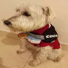 Arnes Pechera Chico Personalizado - Negro - Ver 4