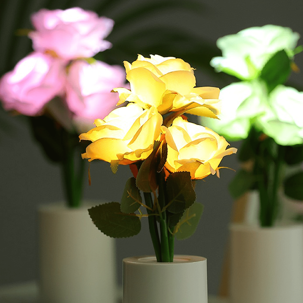 led-rose-flower-night-light-champagne-color-shein-usa