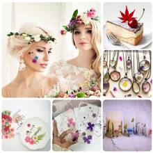 36-37入組天然乾燥花草葉子套裝,適合diy,環氧樹脂,珠寶模具,蠟燭,皂製作,美甲裝飾 - 彩色 - 查看 6