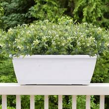 1枝白色假韭葉草花(嬰兒氣息花)