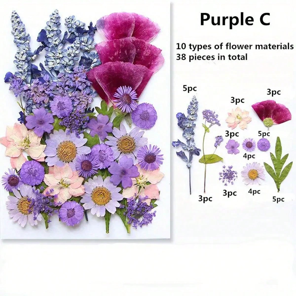 Diy Dried Flower Kit SHEIN USA