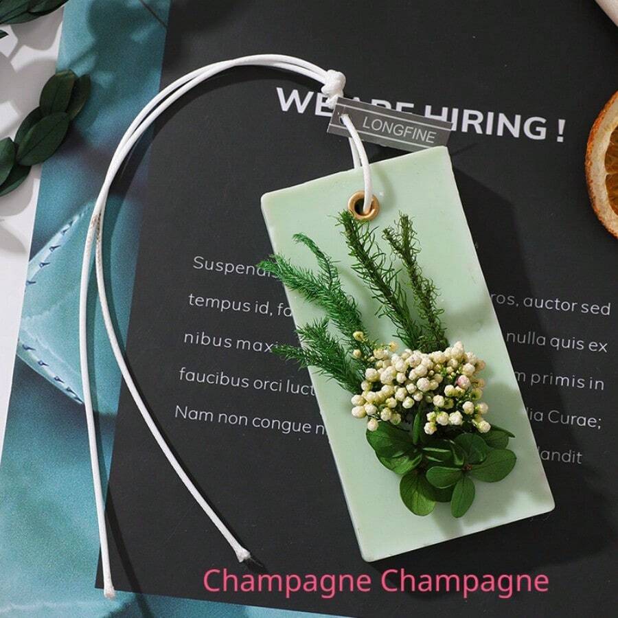 衣櫥鞋櫃香氛袋大豆蠟芳香療法掛件,用於房間裝飾和送禮