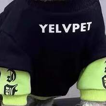 1 Miếng Đen Sành điệu Áo len thú cưng Thích hợp Đối với Mùa thu Và Mùa Đông Mùa - màu đen - Xem 5