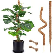 1 件苔蘚桿植物支架,用於攀爬植物,靈活,帶椰子樹皮,適合手工 Diy - 棕色 - 查看 1