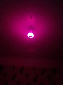 1 PCS Foco de bluetooth con musica y control de cambios de luces-Foco MP3 con musica y colores - Multicolor - Ver 8