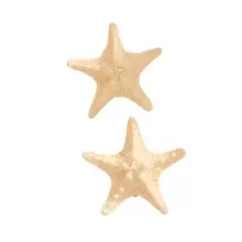 6 Peças Conjunto de Presilhas de Cabelo de Resina com Design de Estrela do Mar, Incluindo Tiara de Sereia e Presilha de Crocodilo, Adequado para Meninas como Acessórios de Cabelo/Presente de Aniversário