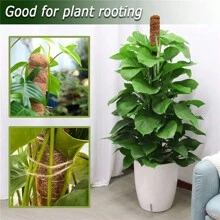 1 件苔蘚桿植物支架,用於攀爬植物,靈活,帶椰子樹皮,適合手工 Diy - 棕色 - 查看 2