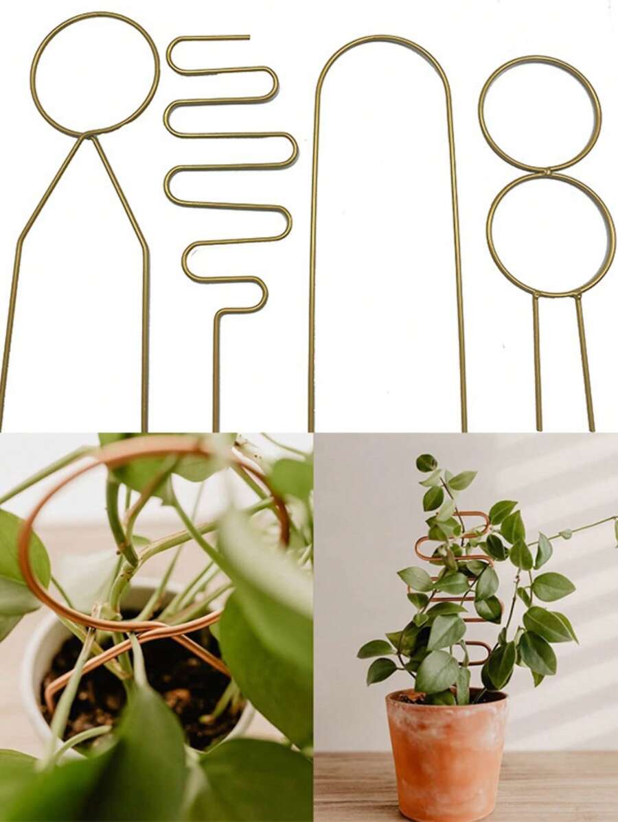 植物攀爬支架盆栽花架綠色藤蔓花架陽台扶持鐵框架 - 金色 - 查看 1