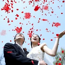 500片紅色無紡布製玫瑰花瓣人造花,適用於婚禮、情人節、派對、求婚、家居裝飾,尺寸5*5cm