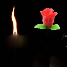 1 件情人節派對用品。無需打火機液體就能點燃玫瑰的表演道具 - 紅色 - 查看 3