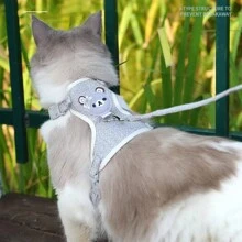 1pc Cute Bear Pet Leash & Harness Set Chest Back Strap Breathable Vest Anti-escape Traction Rope Adjustable Collar Suitable For Small And Medium Cats, Dogs And Rabbits 120cm - Blue - View 1